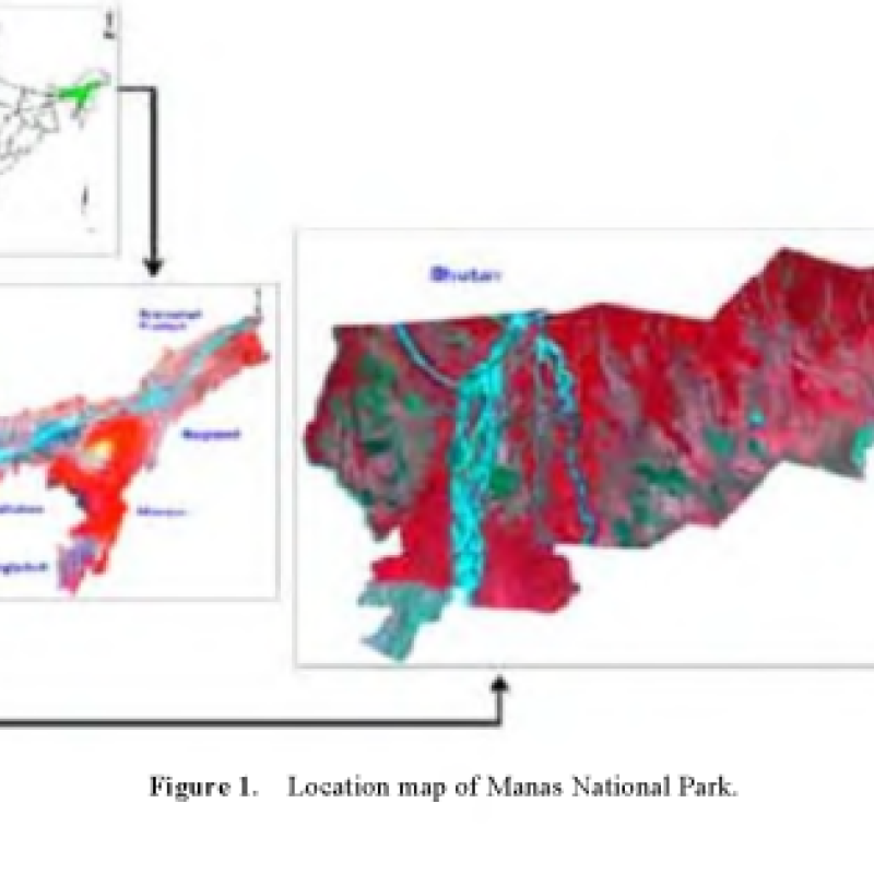 Manas National Park An Overview Sahapedia
